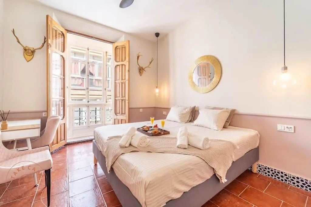 Penthouse Del Conde - Tcm Apartment Malaga 0*,